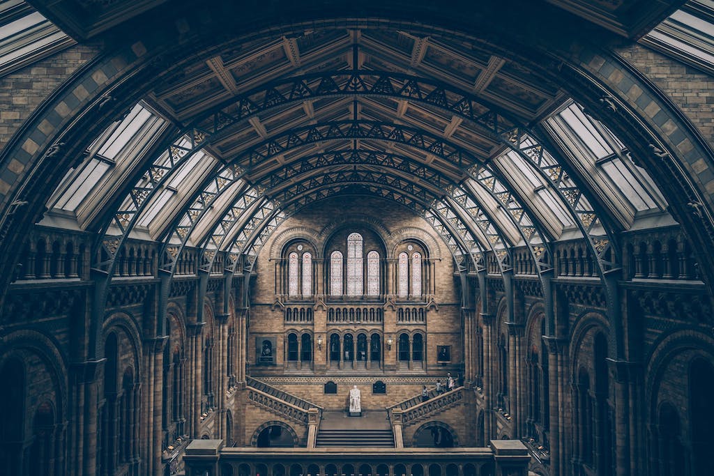 musee histoire naturelle londres