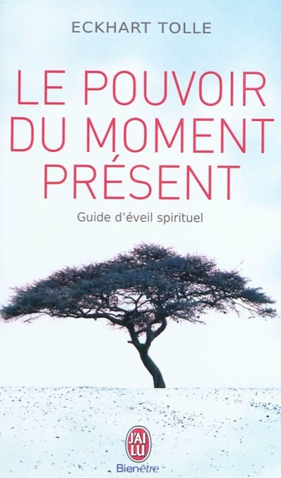 le pouvoir du moment present eckhard tolle
