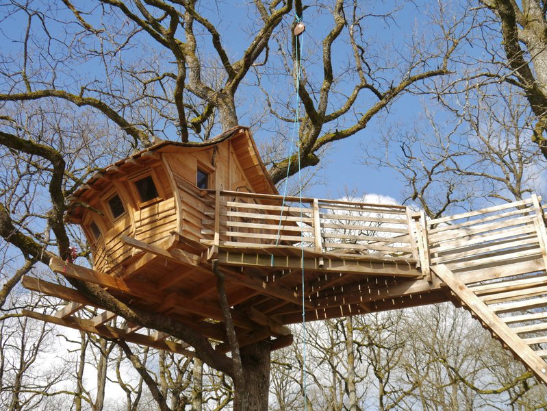 cabane dans arbres vosges