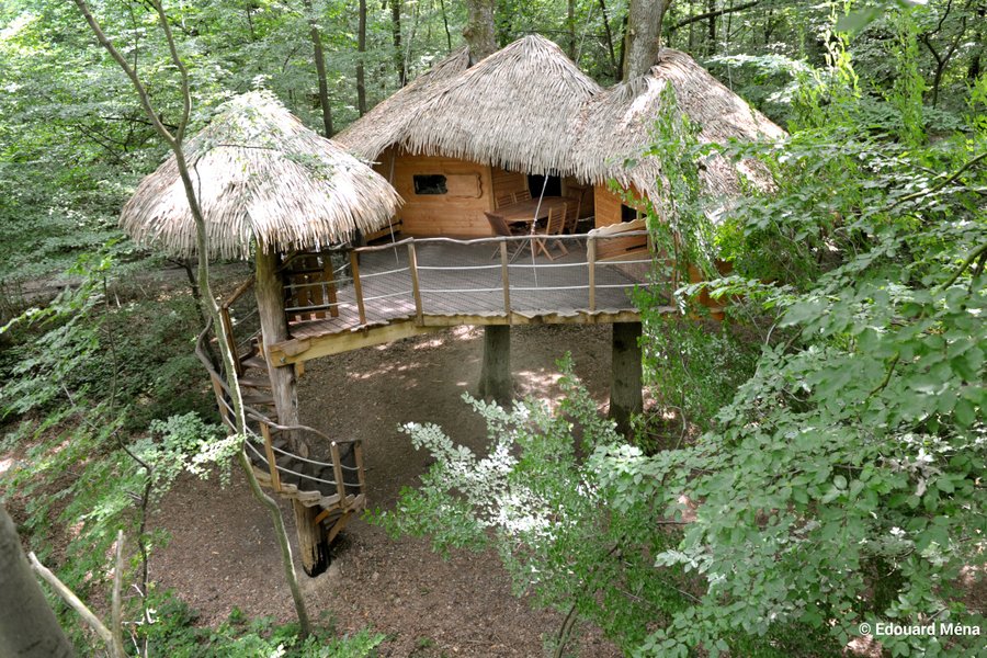 cabane arbre logement insolite normandie