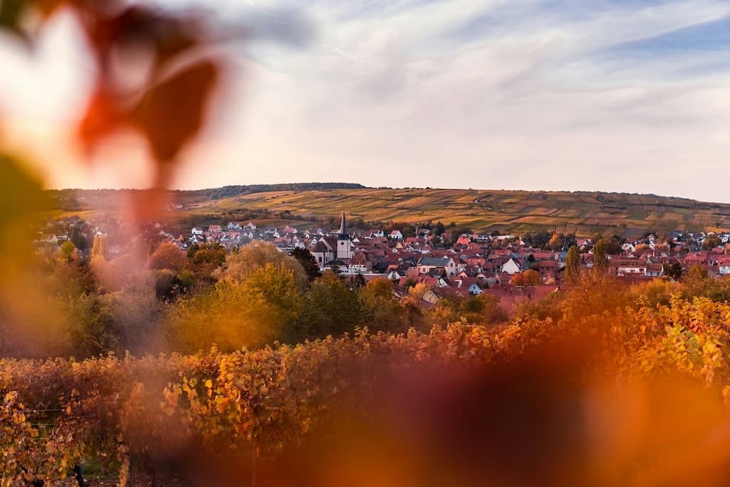 Vignoble Alsacien