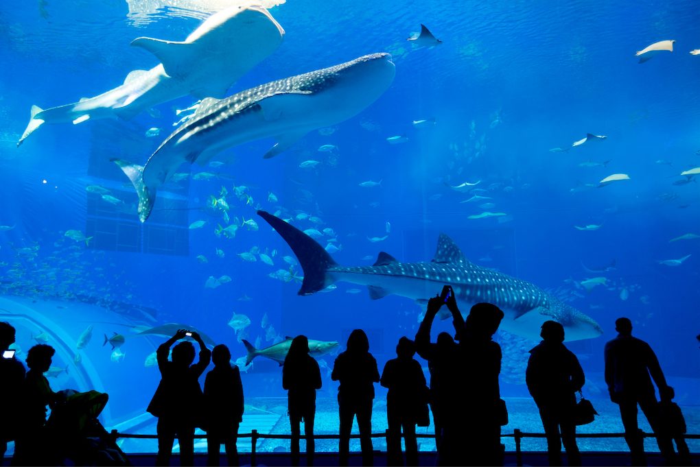 aquarium de paris