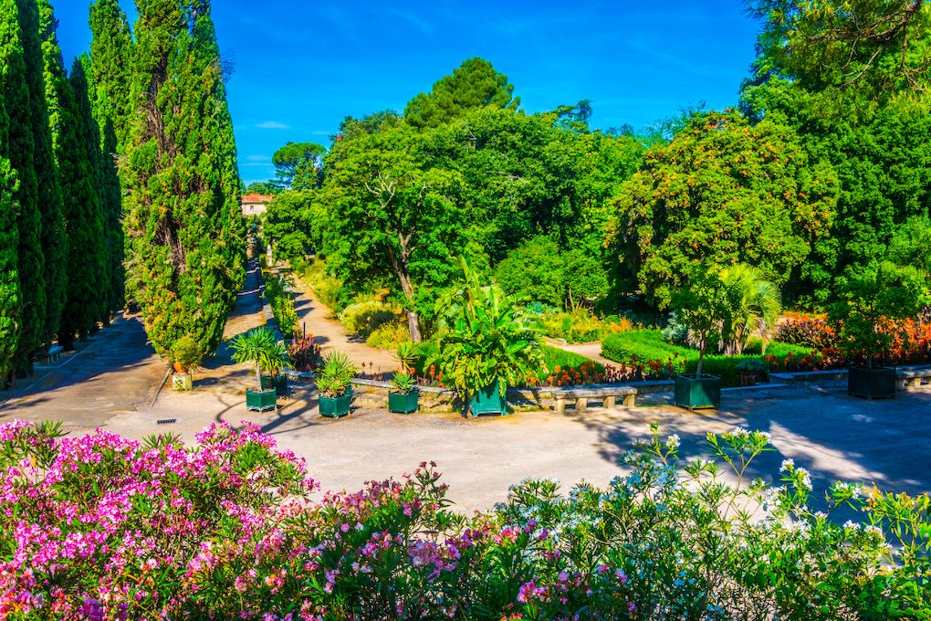 jardin des plantes que faire montpellier