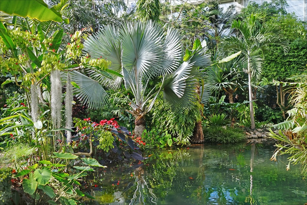 parc phoenix que faire nice