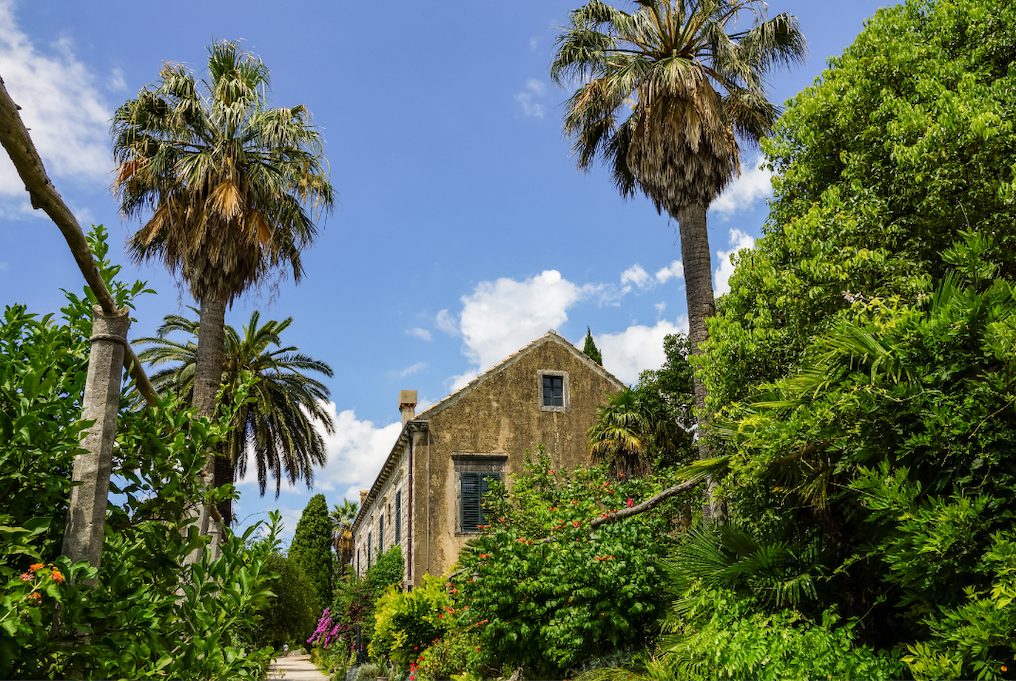 jardins de trsteno