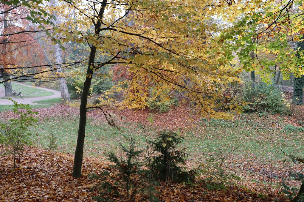 parc orangerie visite