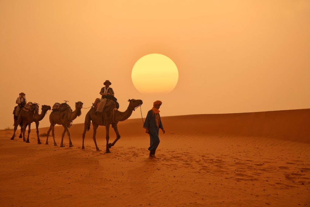 maroc excursion desert