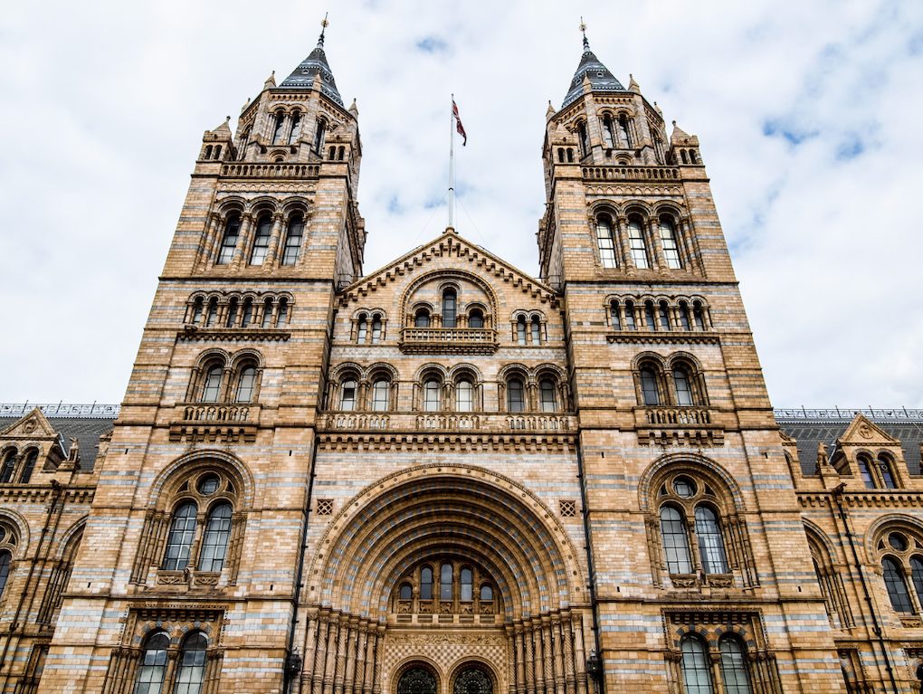 musee histoire naturelle londres visite guidee