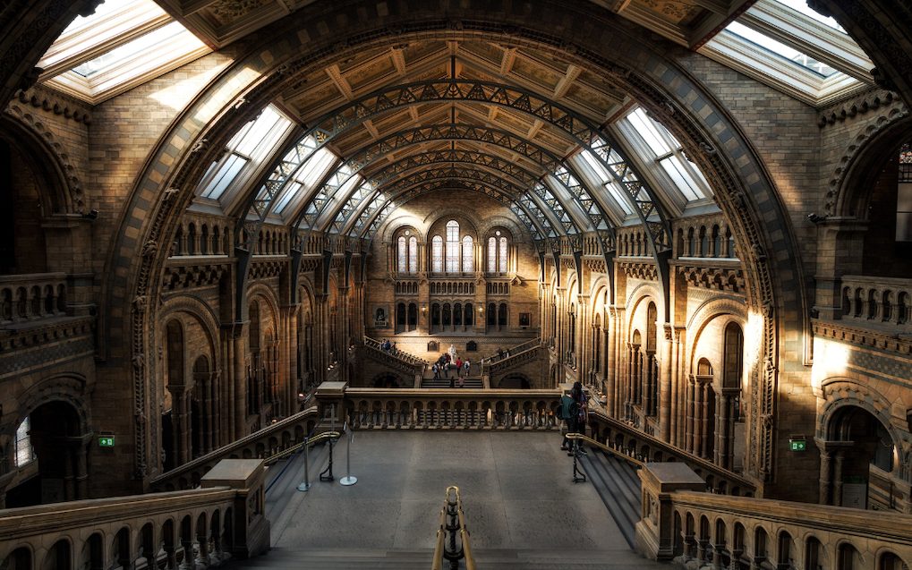 musee histoire naturelle visiter londres en 3 jours