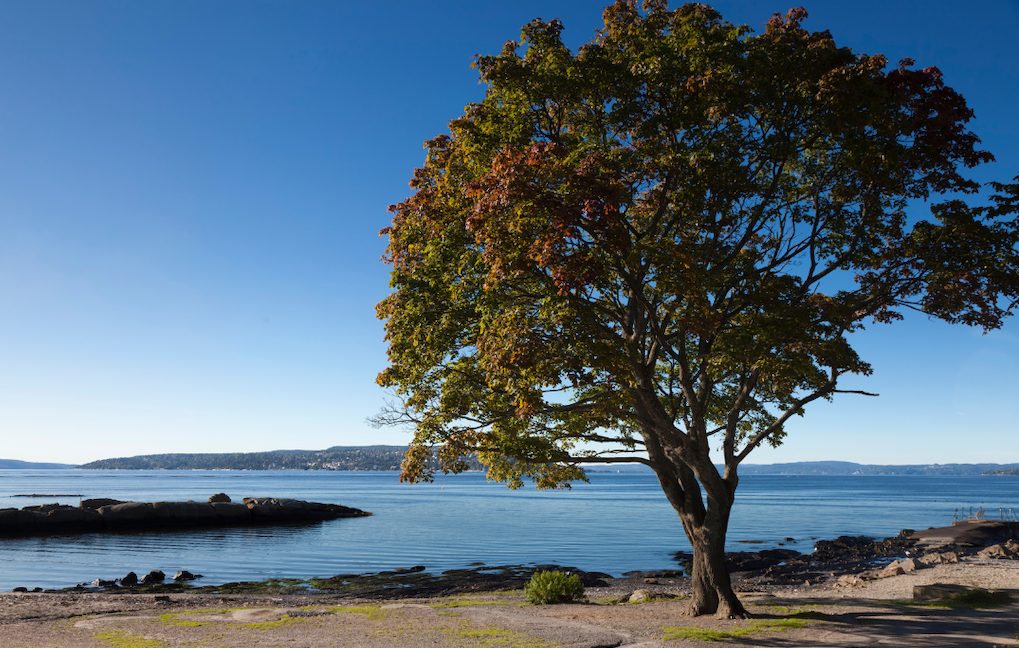 plage huk oslo