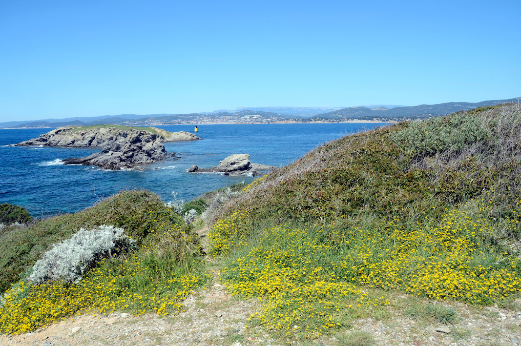 ile des embiez