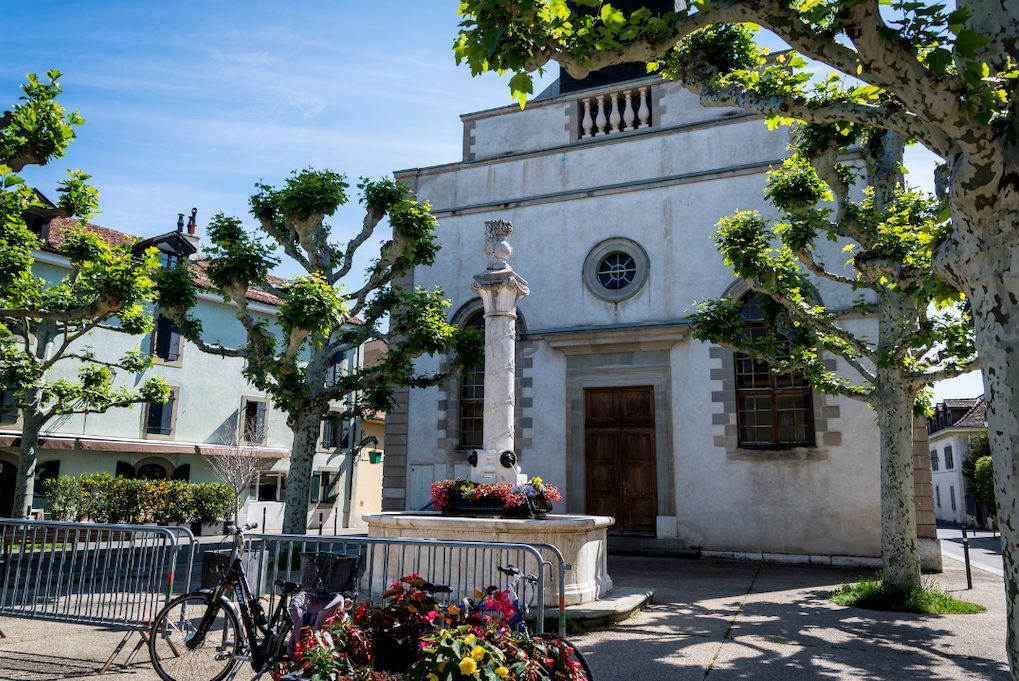quartier carouge suisse