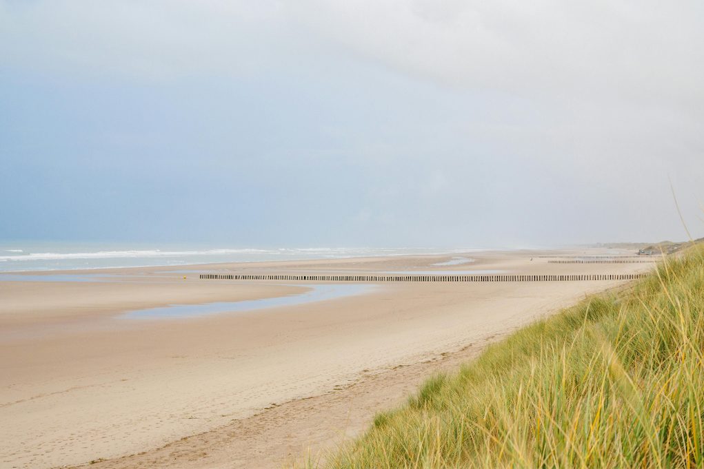 paysage que faire baie de somme