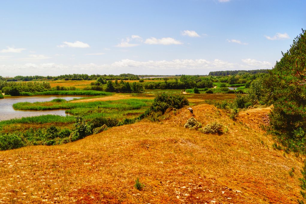parc du marquenterre