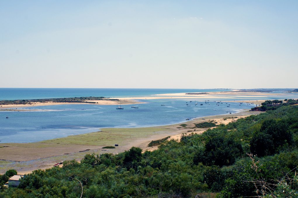 ria formosa flamant rose dauphin