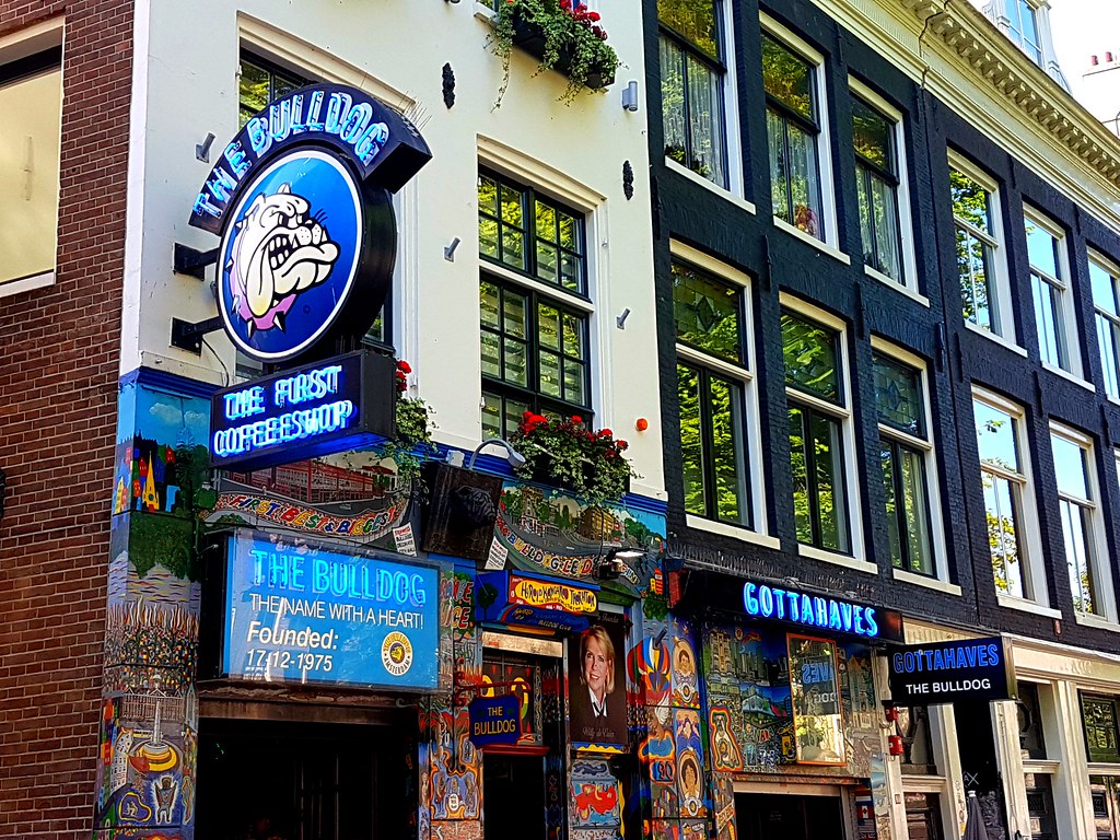 the bulldog amsterdam