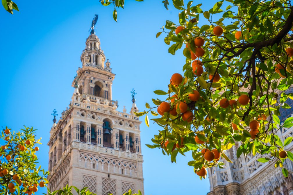 cathedrale de seville visite