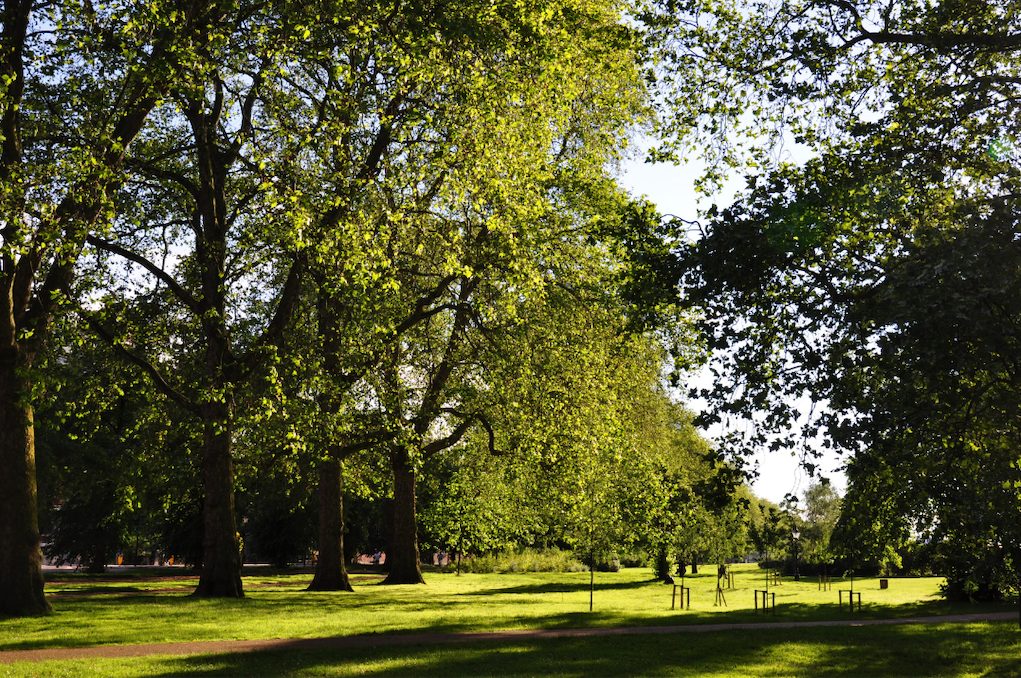 hyde park londres que faire