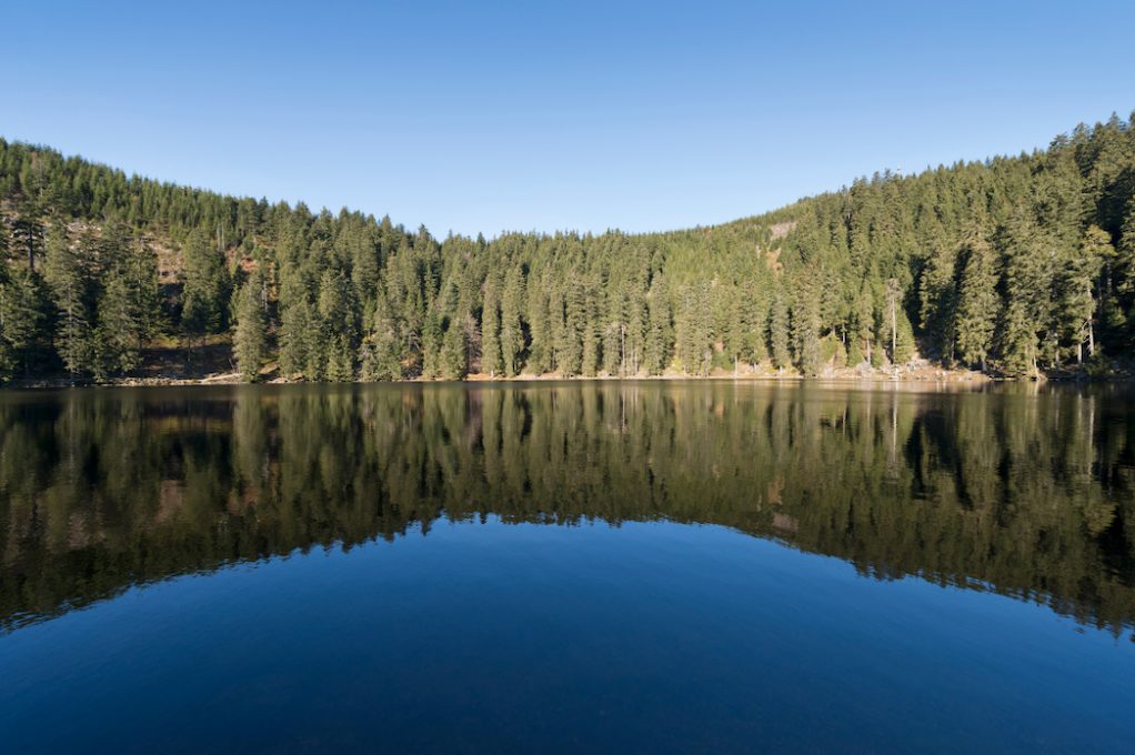 mummelsee lac foret noire allemagne